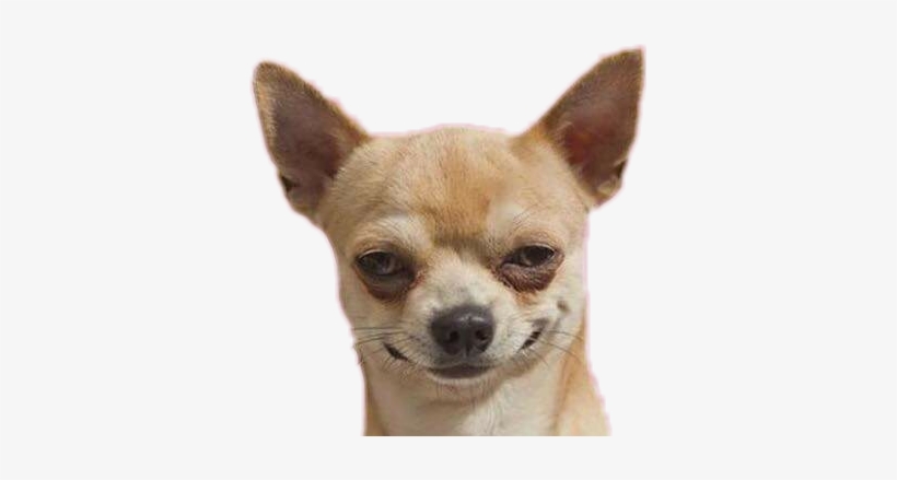 Perro Troll, transparent png #2058108