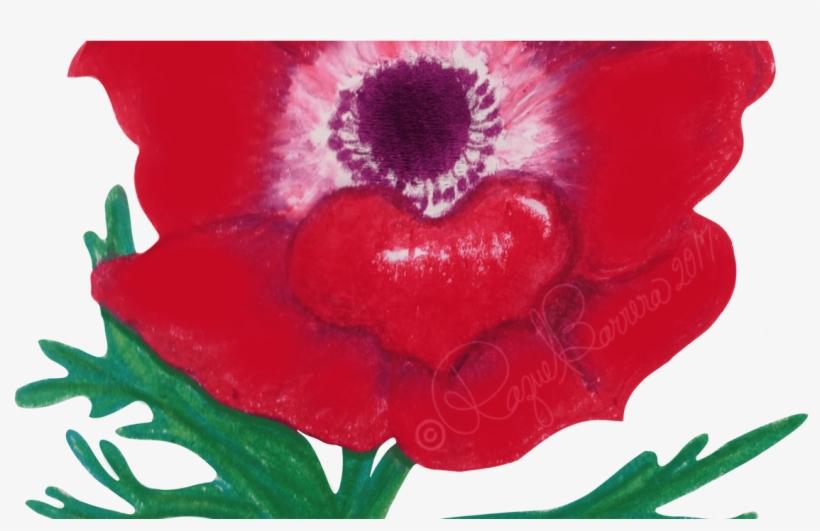 Reflection - Oriental Poppy, transparent png #2058160