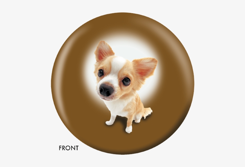 Chihuahua Bowling Ball, transparent png #2058273