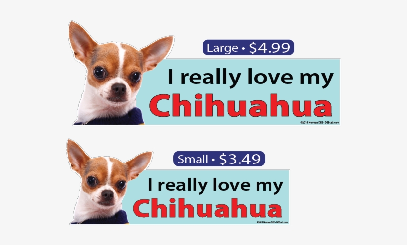 I Love My Chihuahua - Chihuahua Chihuahua Animal Sticker, transparent png #2058302