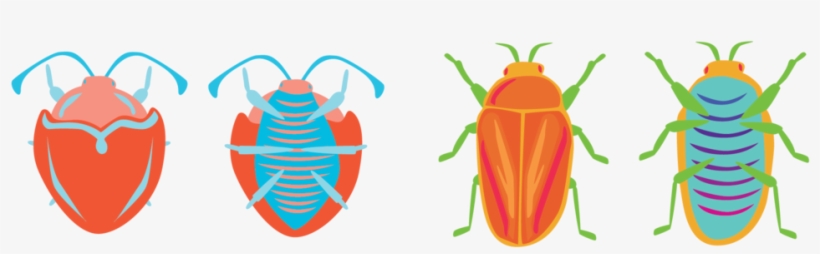 Bug Spread 1-01, transparent png #2058490