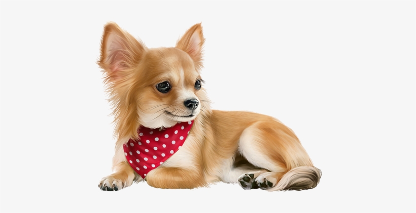 Dog Chihuahua, Tube, Clip Art, Dog Baby, Dog - Companion Dog, transparent png #2058551