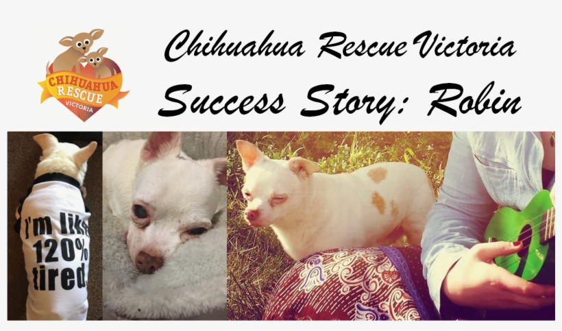 Linger Awhile By Russell Hoban, transparent png #2058578