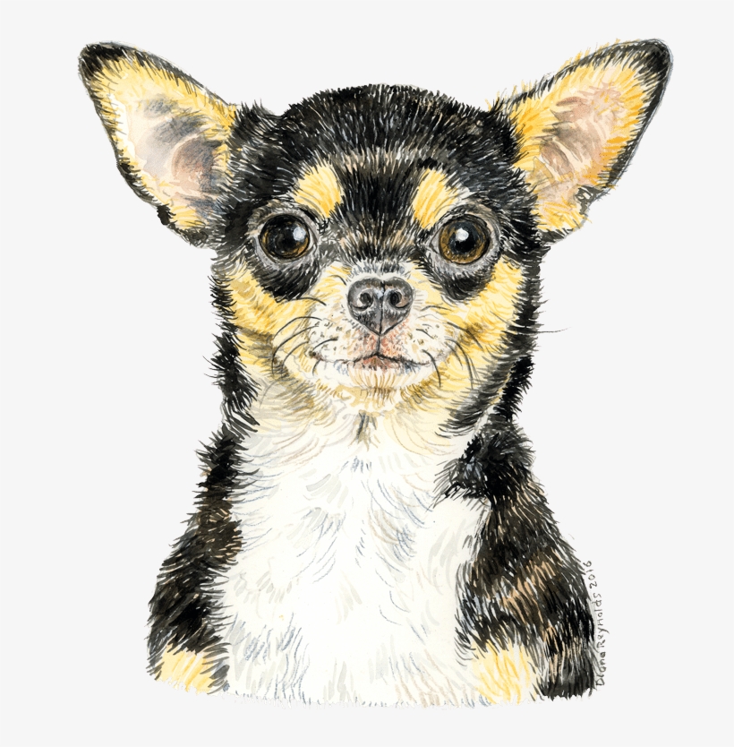 Chihuahua-watercolour1 - Chihuahua, transparent png #2058594