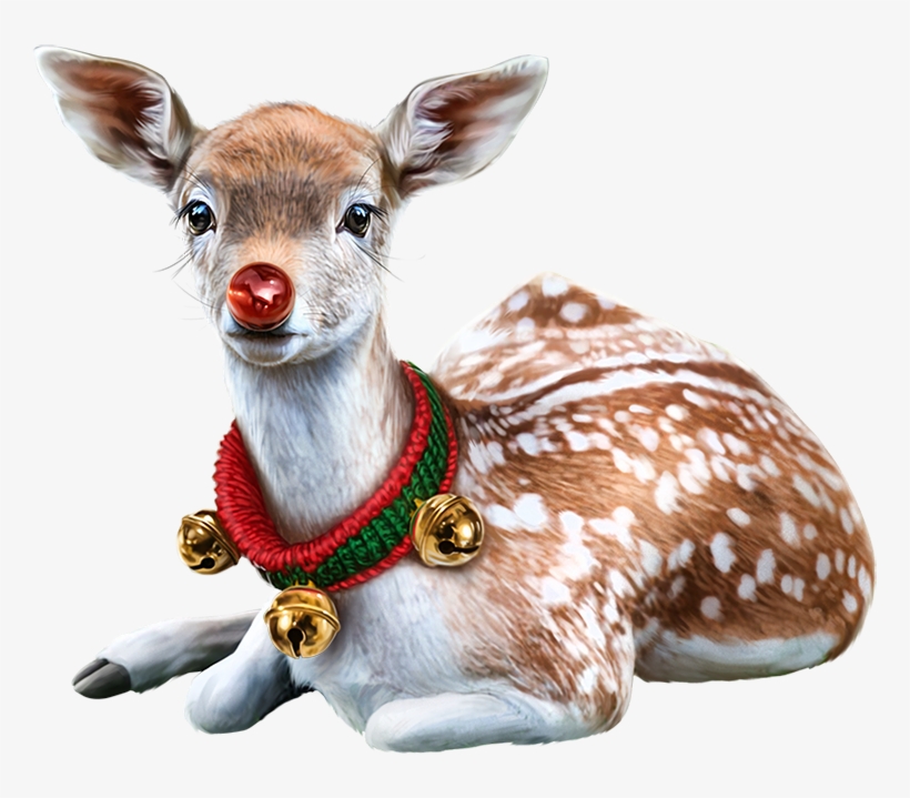 Banner Royalty Free Stock Christmas Chihuahua Clipart - Animaux De Noel, transparent png #2058984