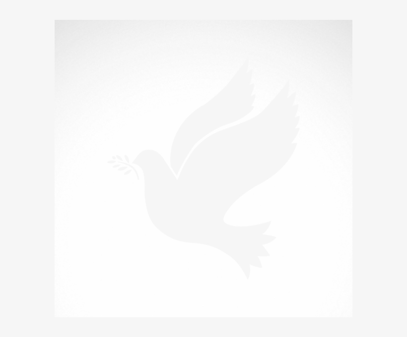 Simple Color Vinyl Peace Stickers Factory - Ethiopia And Eritrea Relationship, transparent png #2059003