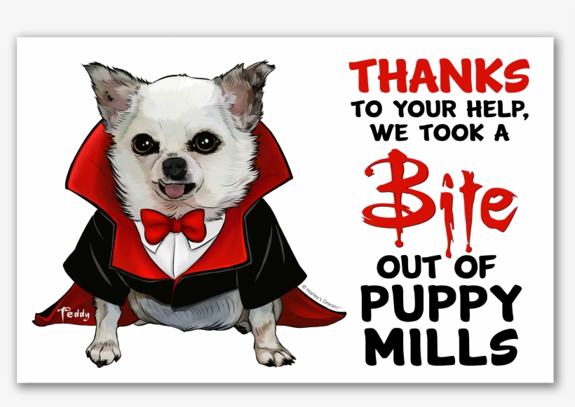 Each Kit Includes - Dog, transparent png #2059047
