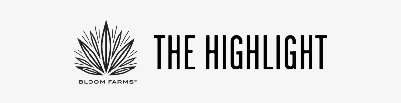 The Highlight - 20th Century Masters - The Millennium Collection: The, transparent png #2059277