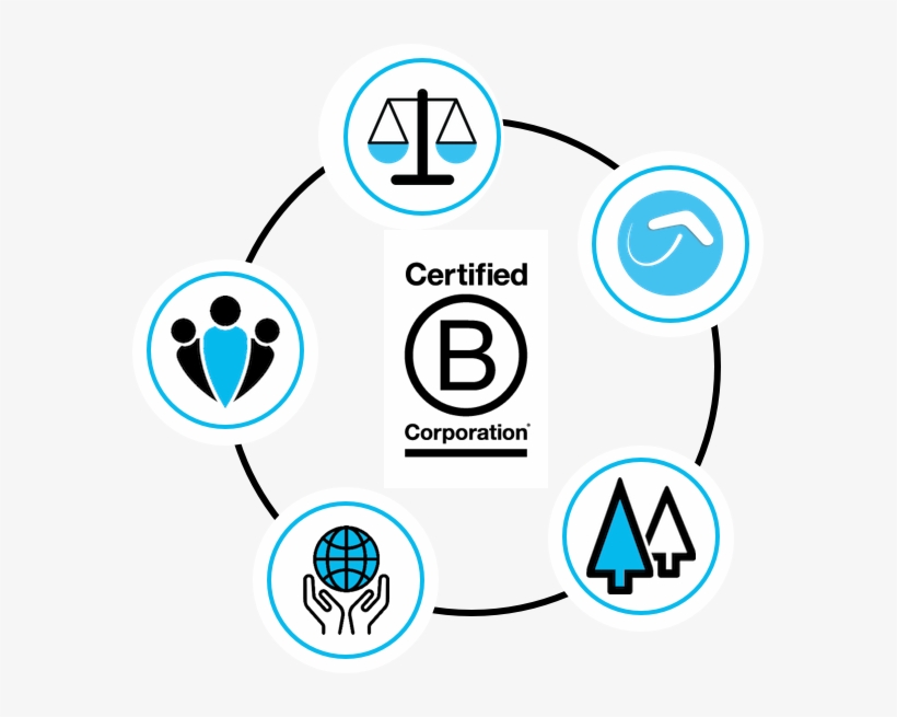 Website Design - B Corp, transparent png #2059278