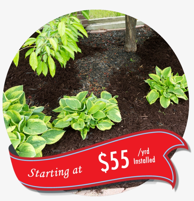 We Can Replace Your New Or Existing Mulch Beds With - Mulch And Pine Straw Design, transparent png #2060471