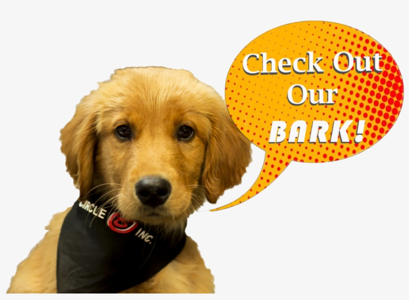 Mulch, transparent png #2060508