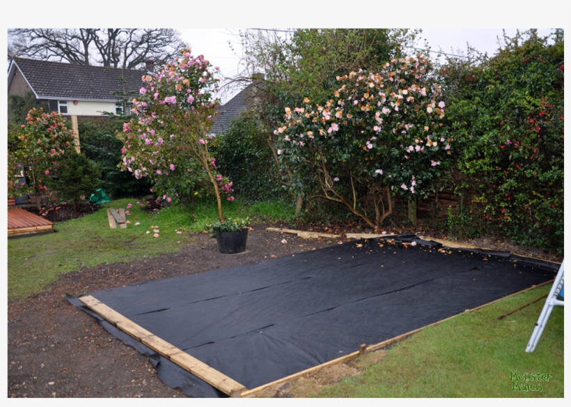 Membrane-beccibefore - Backyard, transparent png #2060775