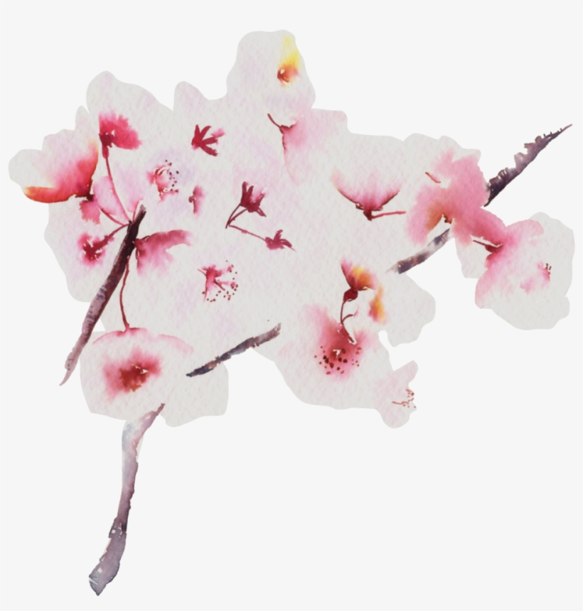 Sushi Adventures In Japan, transparent png #2060800