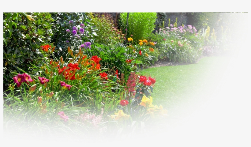 Garden Products - English Summer Garden, transparent png #2060975