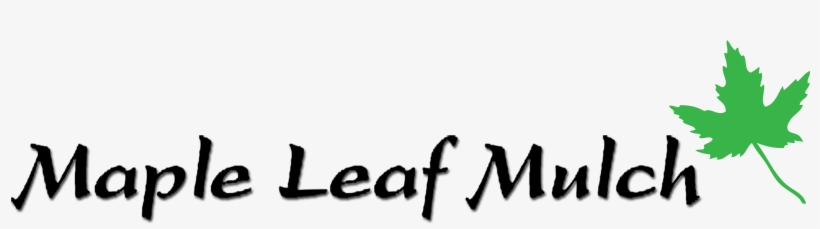 Maple Leaf, transparent png #2061328