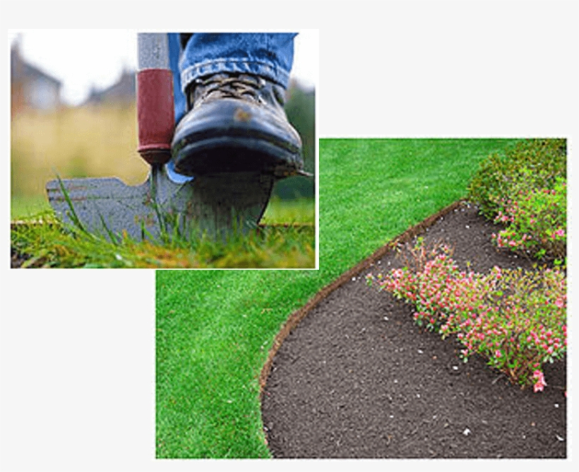 Services - Landscape Edging, transparent png #2061586