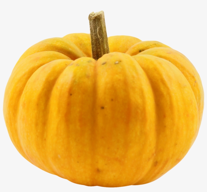 Transparent Background Punkin Png, transparent png #2061687