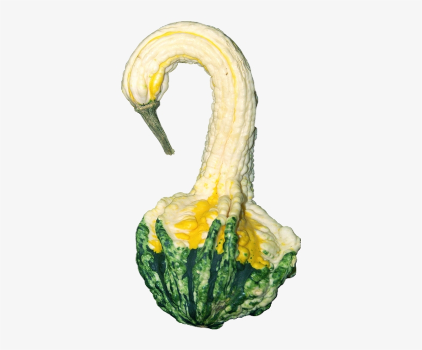 Illustration, transparent png #2061888
