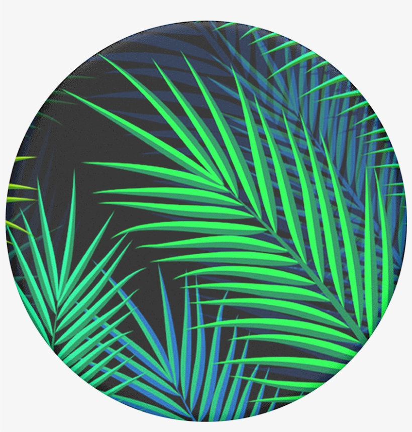 Midnight Palms - Popsockets Midnight Palms, transparent png #2062757