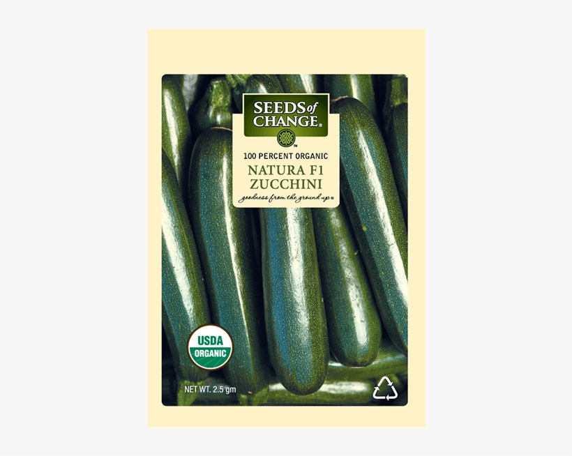 Organic Natura F-1 Zucchini Squash Seeds - Usda Organic, transparent png #2062850