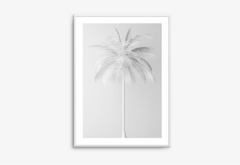 White Palm On Grey White Palm On Grey - Illustration, transparent png #2062901