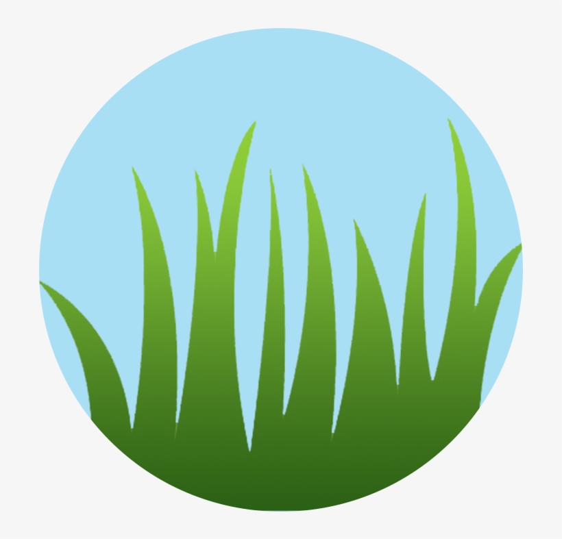 Water Conservation Tips Leave It Long - Illustration, transparent png #2063411