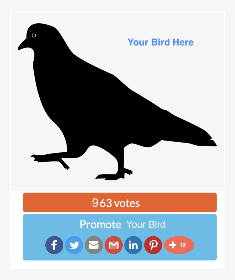 Generic 'your Bird Here' Graphic Stand In For Photo - Pink Pigeon Silhouette Shower Curtain, transparent png #2063440