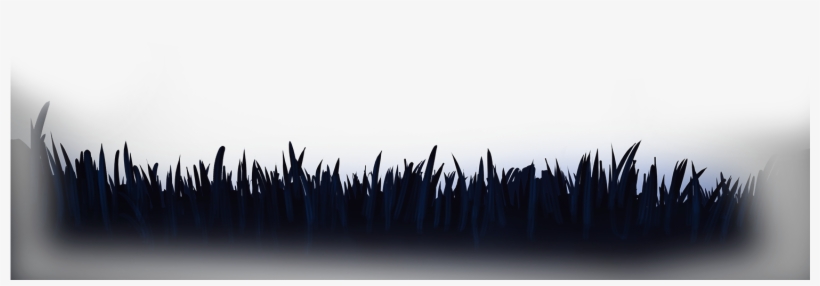 Grass - Schwartzhog, transparent png #2063670