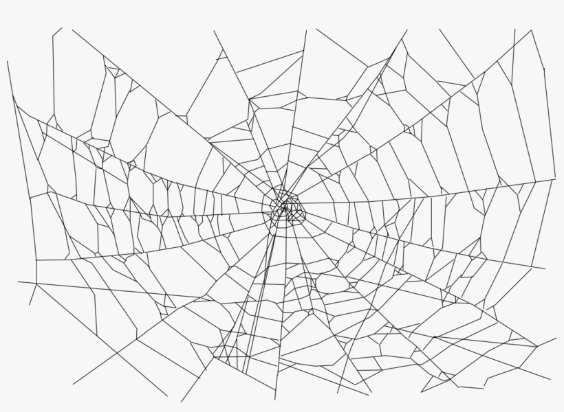Spider Web Transparent Png - Realistic Spider Web Drawing, transparent png #2064450