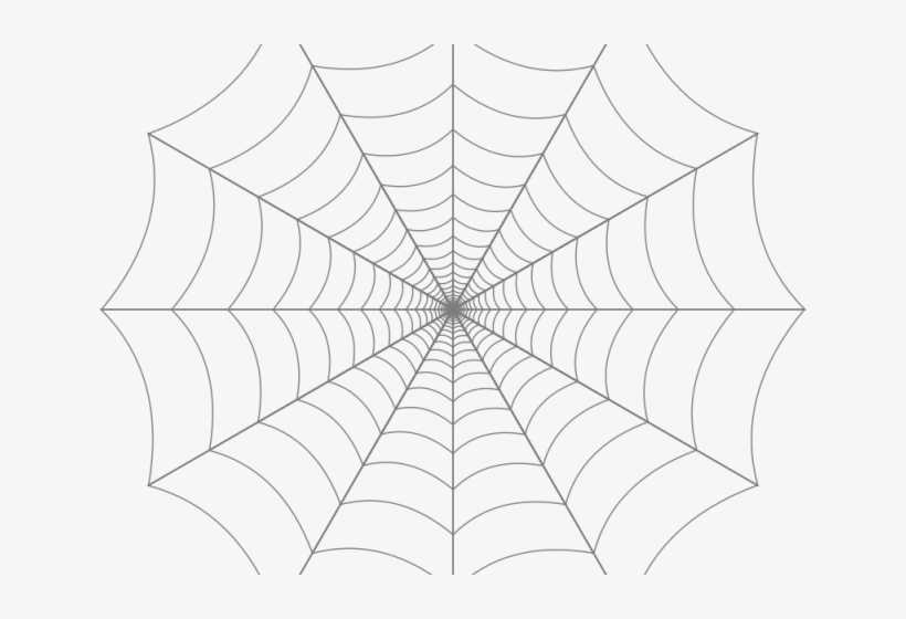Drawn Spider Web Transparent Background - Spider Web Transparent Background, transparent png #2064529