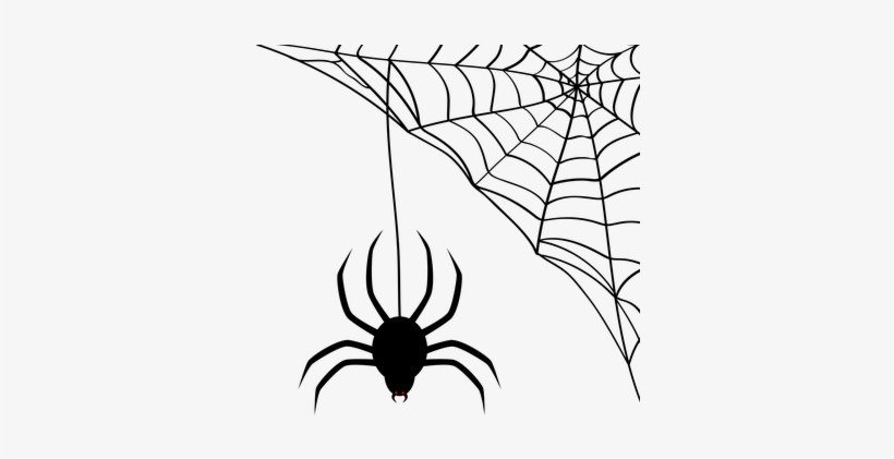 Spider Web Cobweb Halloween Silhouette Bla - Teia De Aranha Png, transparent png #2064566