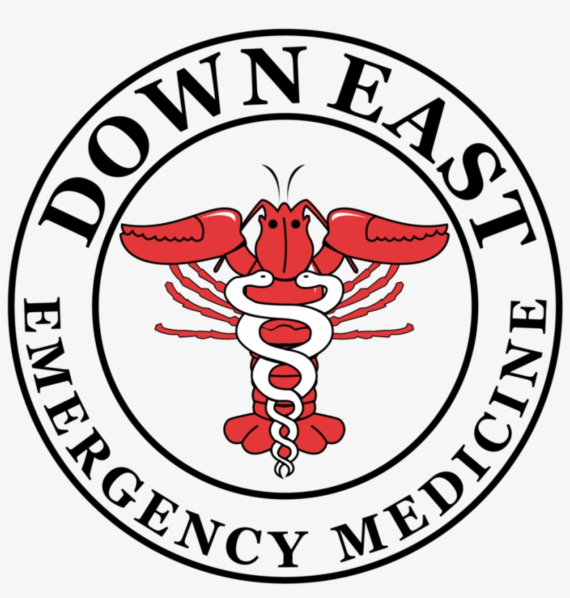 Website Are The Opinions Of The Website And Content, transparent png #2065276