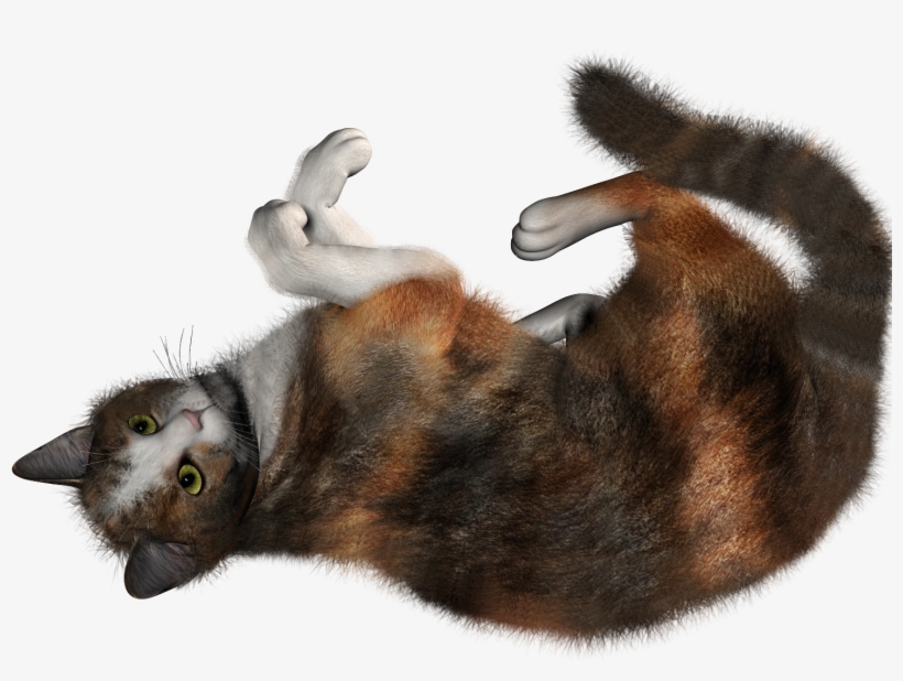 Cat Toy No Backgourd, transparent png #2066751