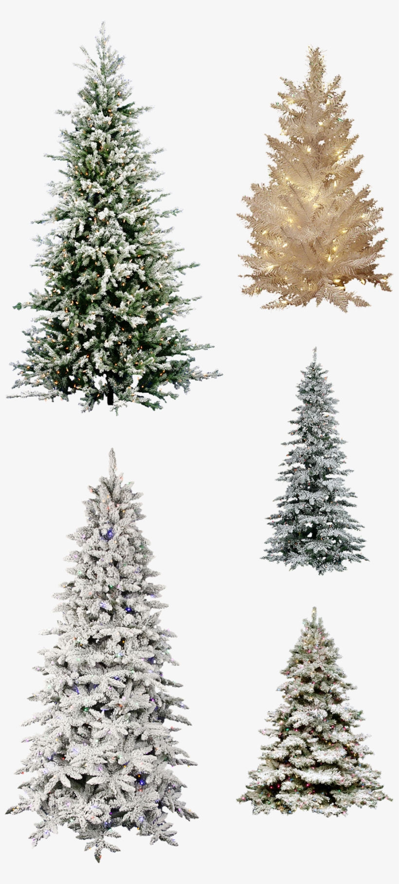 Misc Frosted Christmas Tree Pngs By Dbszabo1 - Vickerman 9' Frosted Dunhill Fir Artificial Christmas, transparent png #2067026