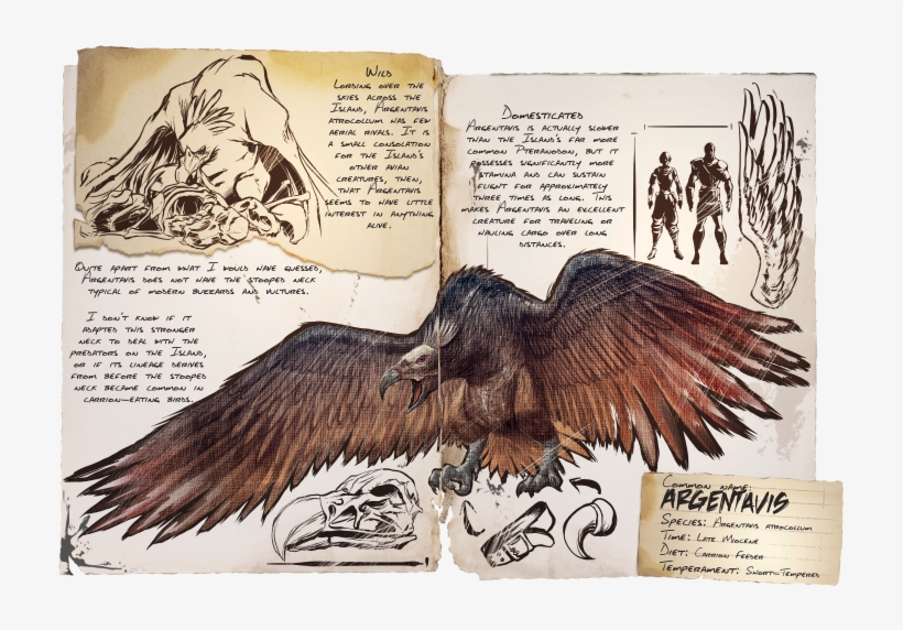 Argentavis Dossier - Ark Survival Evolved Argentavis Dossier, transparent png #2067704