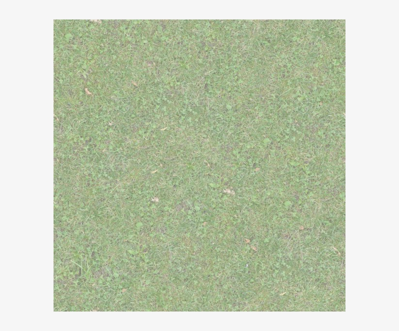 Grassbacktrans - Groundcover, transparent png #2067776