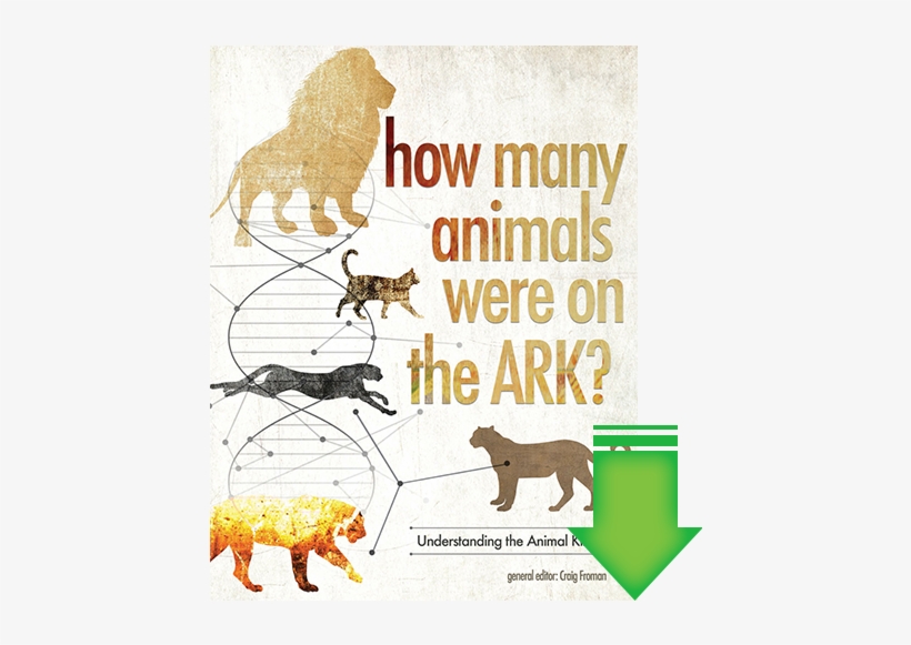 Animals Were On The Ark, transparent png #2068043