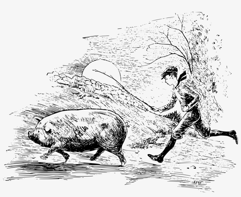 Big Image - Pig, transparent png #2069852