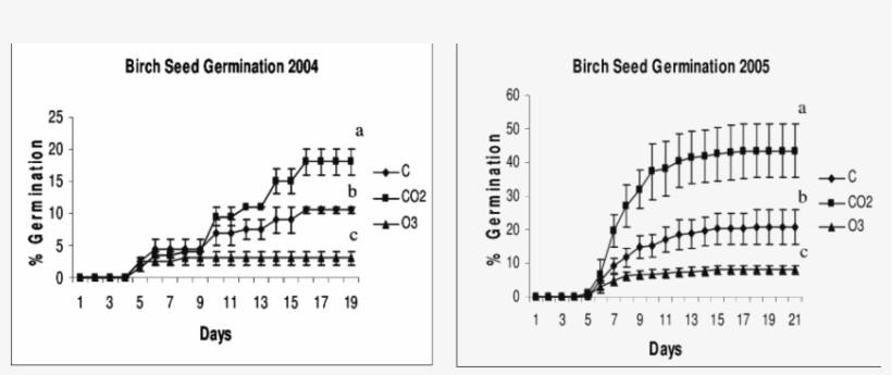 Germination Of Birch Seed From Trees Exposed To Background - Diagram, transparent png #2070728