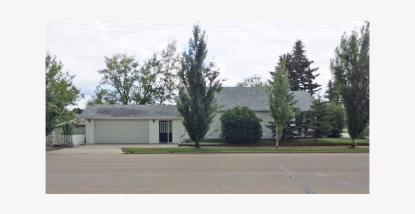 Tuesday, August 16, - White Pine, transparent png #2072480