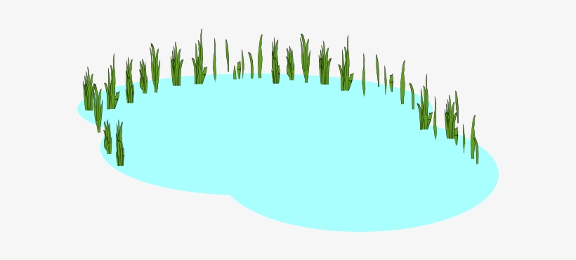 Clip Art At Clker Com Vector Online - Freshwater Clip Art, transparent png #2075004