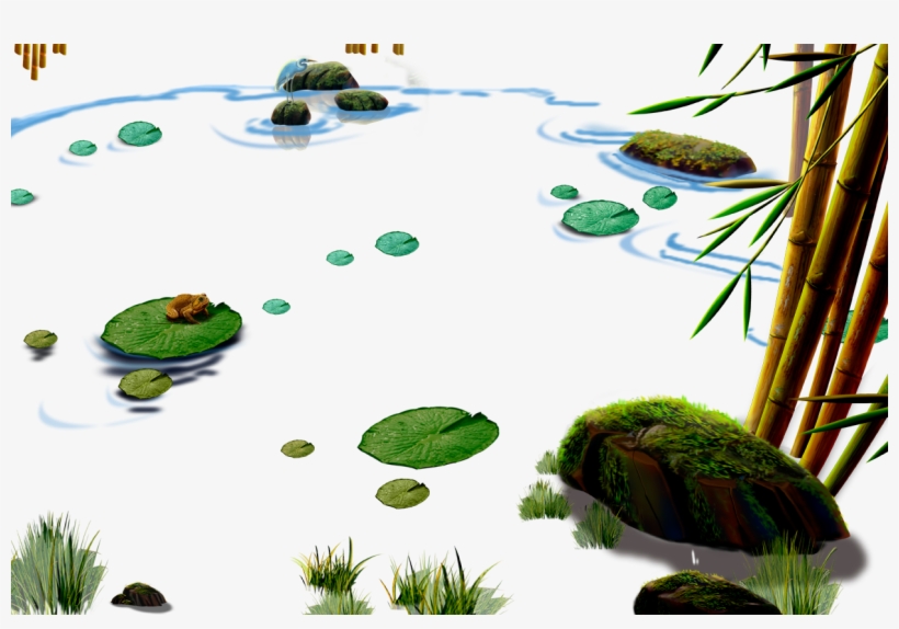 Lotus Pond - ภาพ การ์ตูน กบ เเ ละ ปลา อยู่ ใน สระ บัว, transparent png #2075129