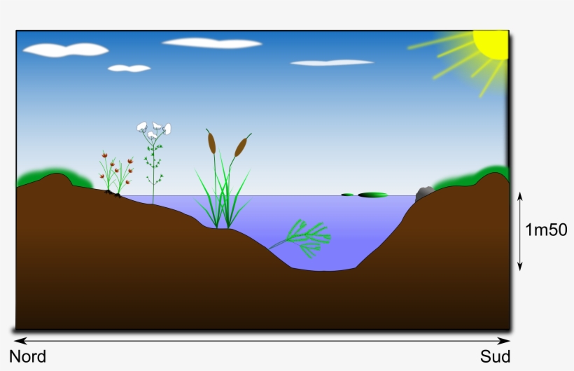 This Free Icons Png Design Of Mare Naturelle, transparent png #2075228