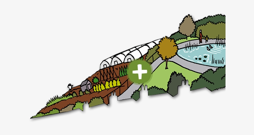 Pond - Low-carbon Economy, transparent png #2075550