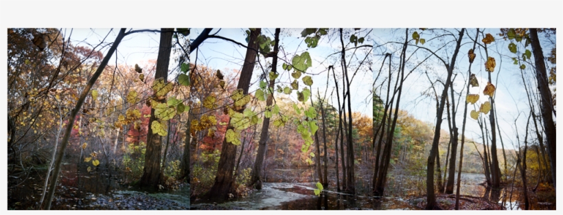 Barney's Pond, transparent png #2075608