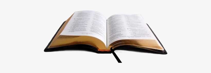 Bible, transparent png #2077064