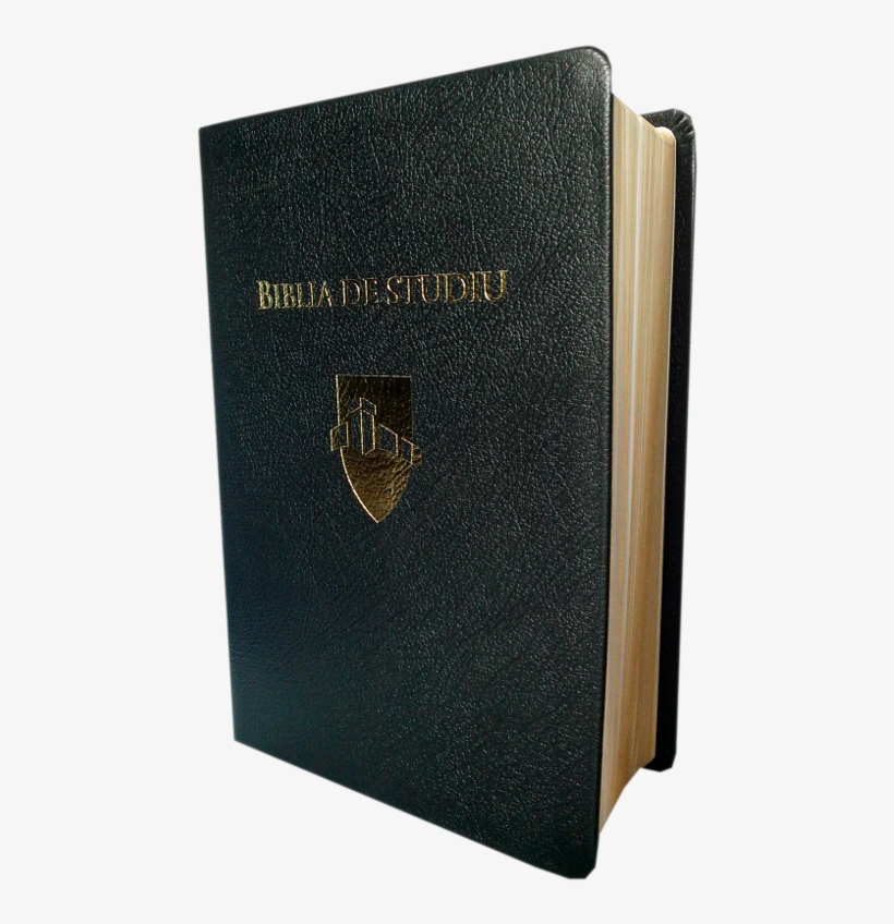 Biblia De Studiu Andrews - Biblie De Studiu Inductiv, transparent png #2077118