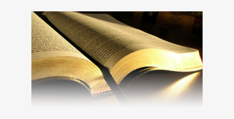 A Bíblia, Palavra De Deus É O Meio Pelo Qual Nós Podemos - Survey Of The Bible: An Overview Of The Sixty-six Canonical, transparent png #2077169