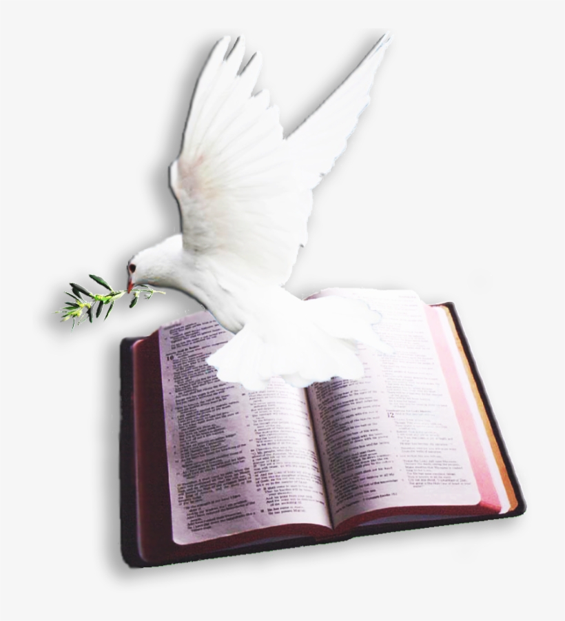 Archivo Del Blog < - Bible And Dove Png, transparent png #2077534