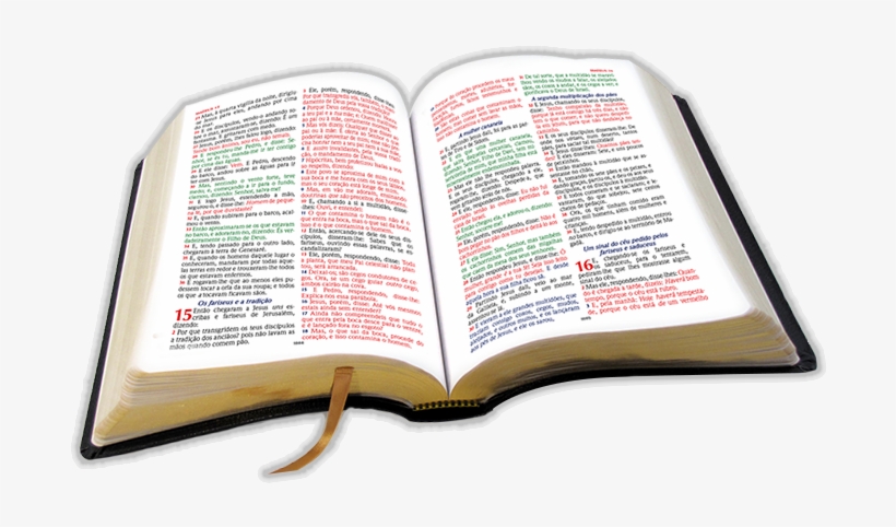 Biblia Abierrta - Biblia Abierta En Png, transparent png #2077560